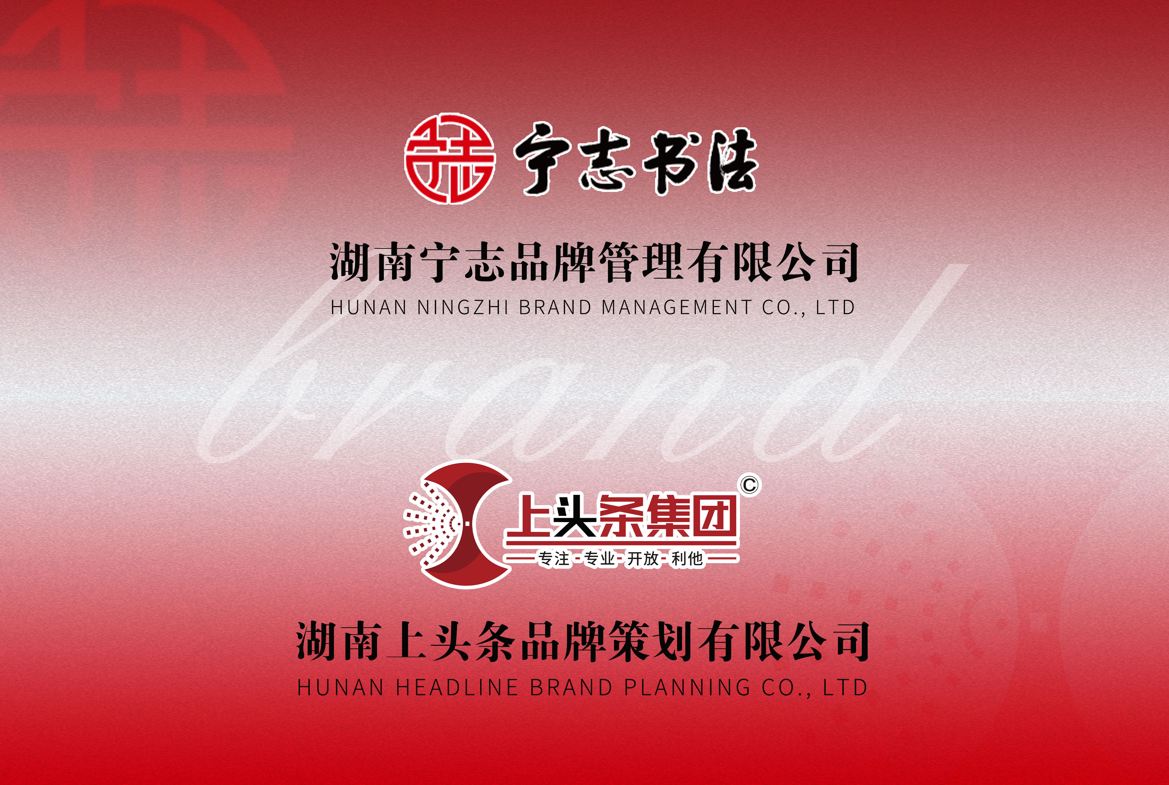 宁志书法X 上头条咨询品牌设计运营案例