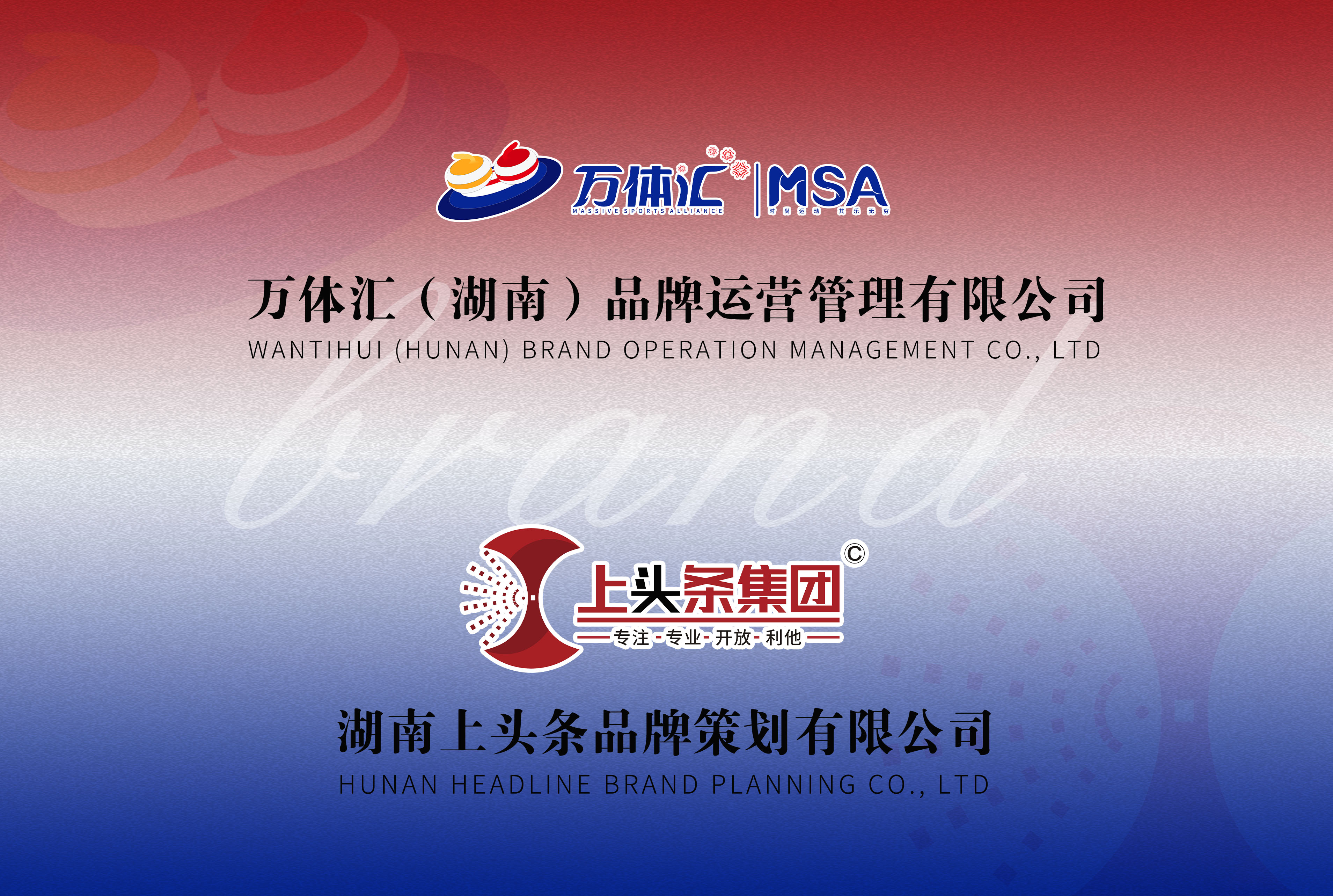 万体汇 X 上头条咨询品牌设计运营案例