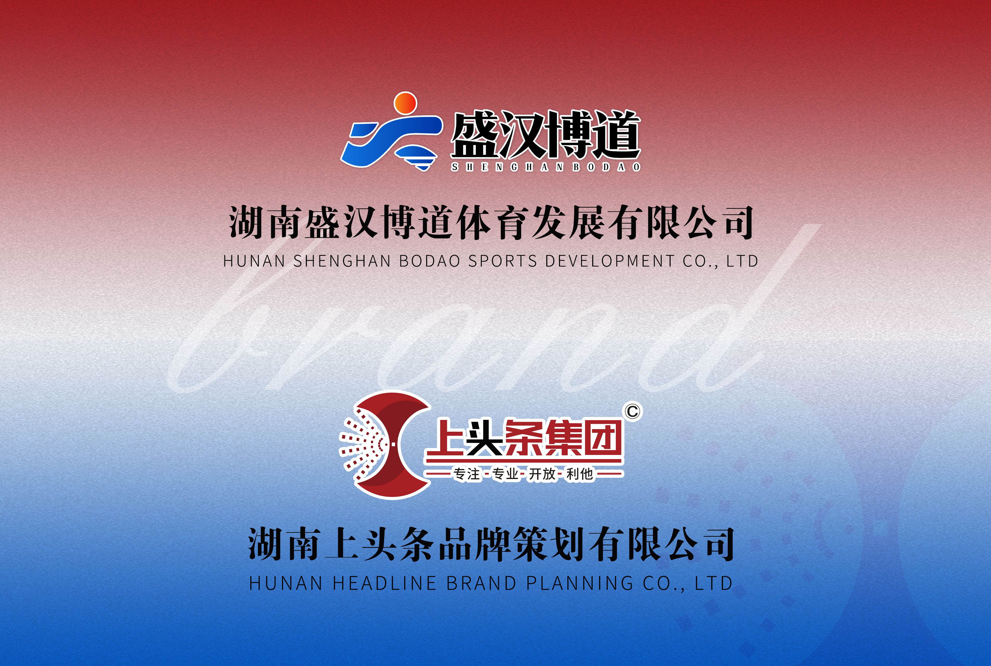 盛汉博道X上头条咨询品牌设计运营案例