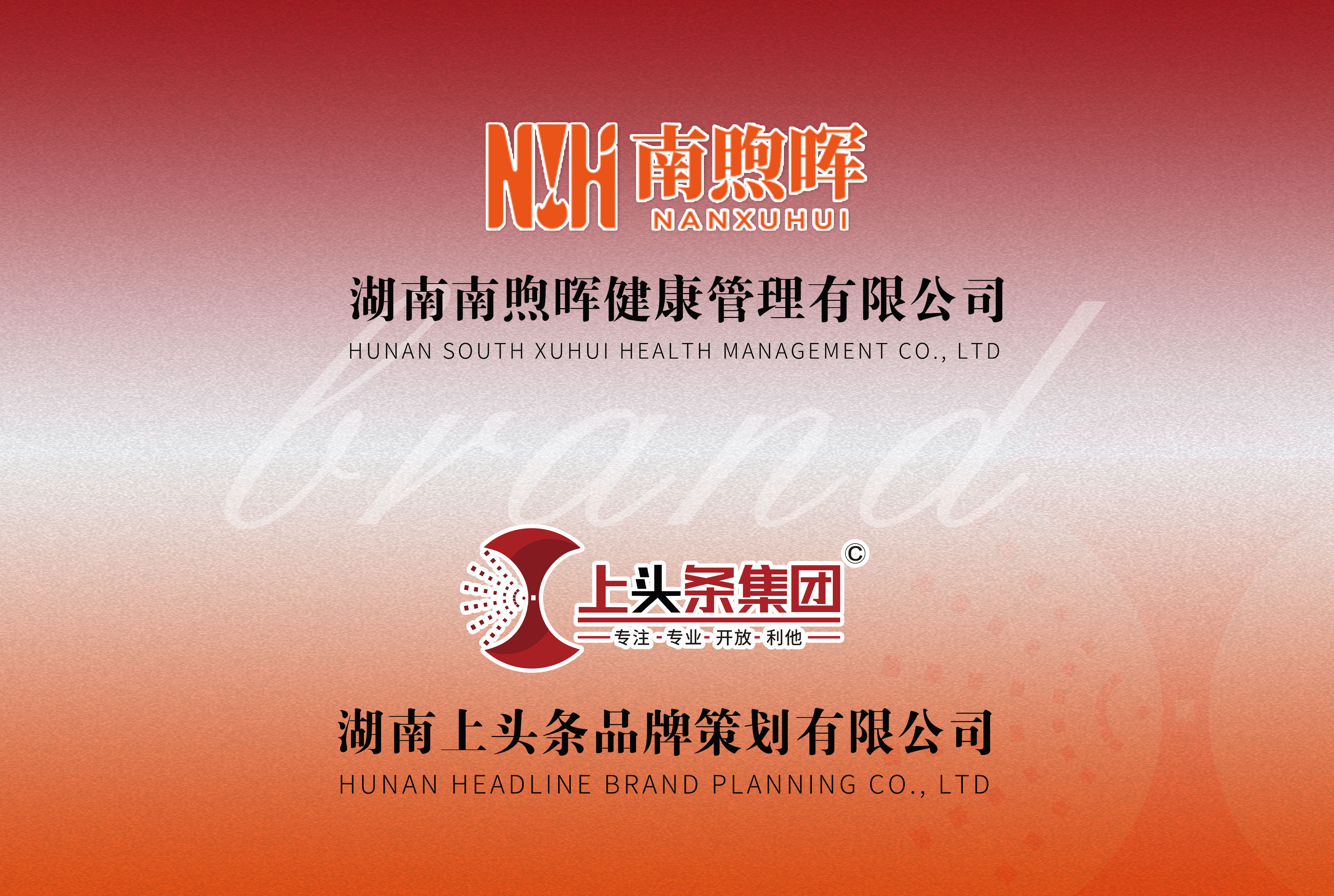 南煦晖 X 上头条咨询品牌设计运营案例