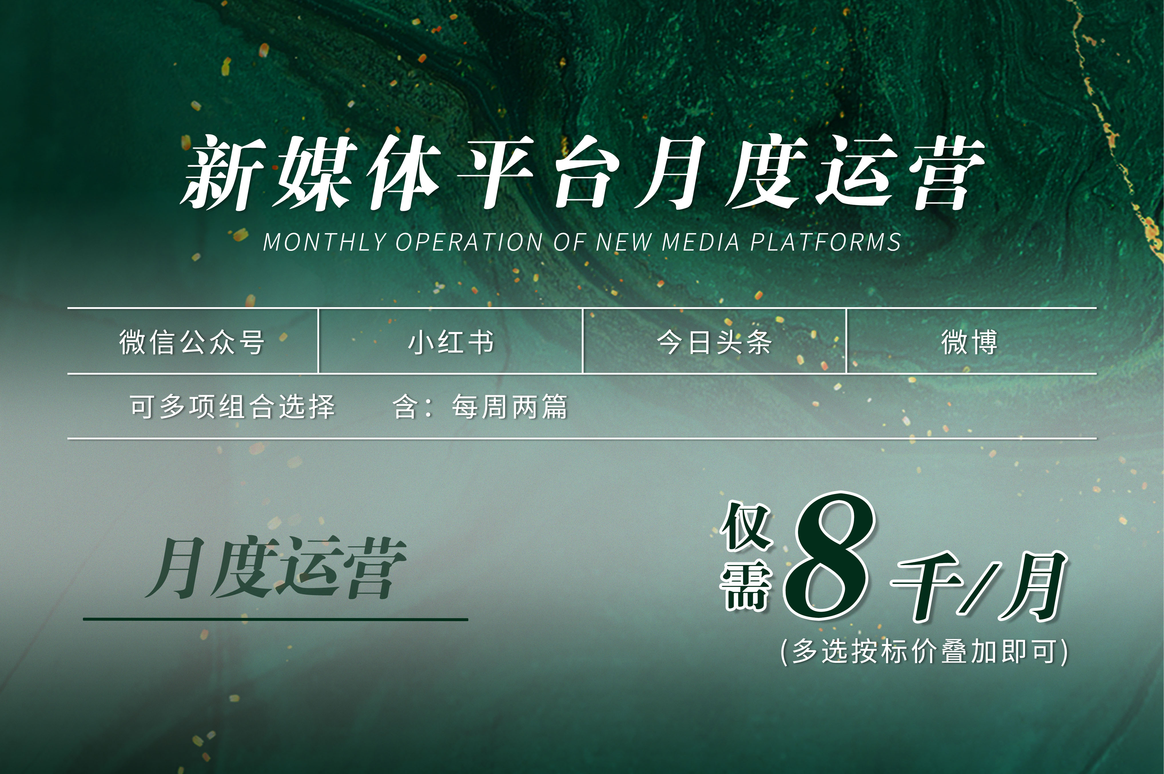 新媒体平台月度运营 (文案类)