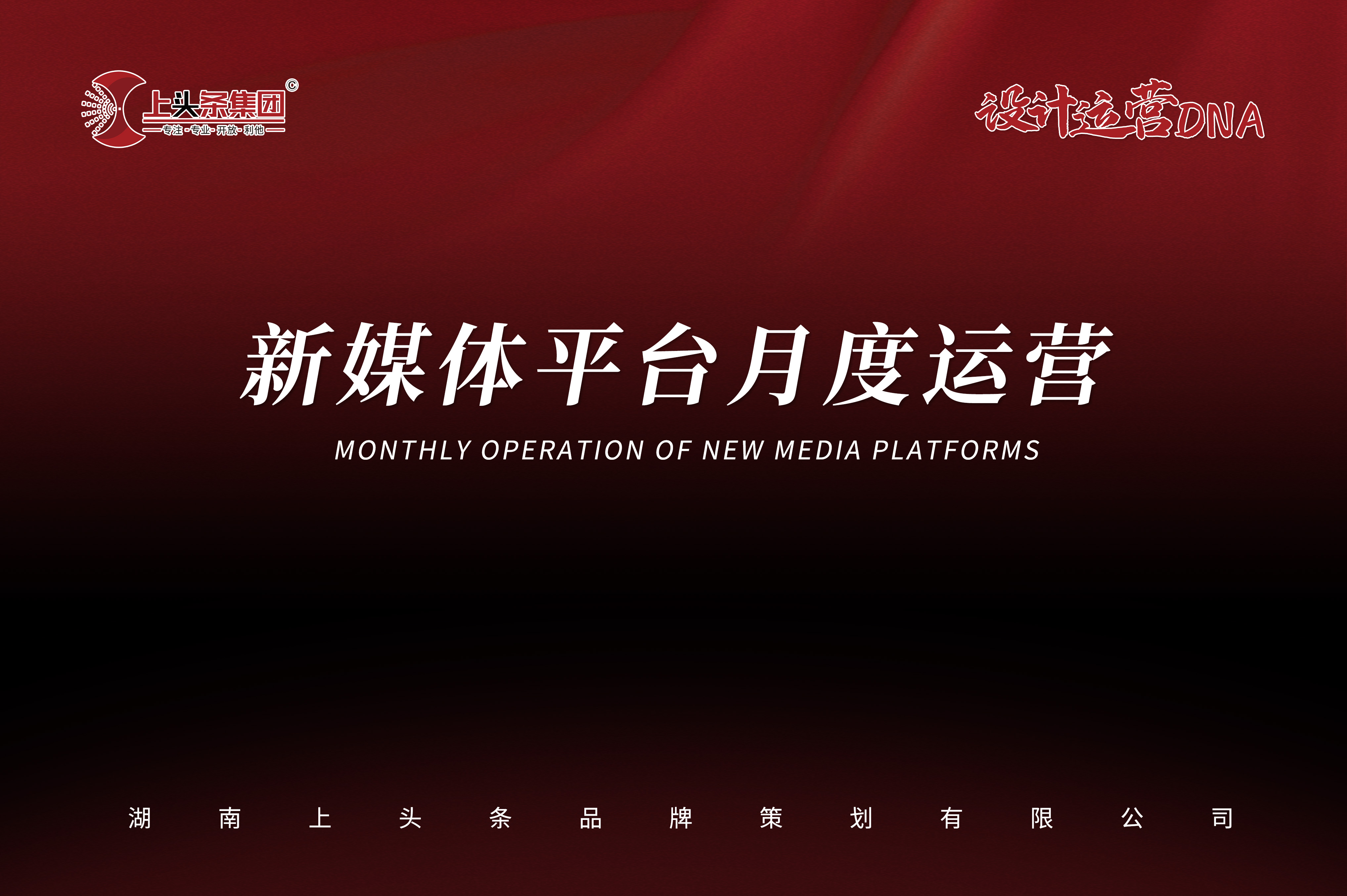 新媒体平台月度运营 (文案类)