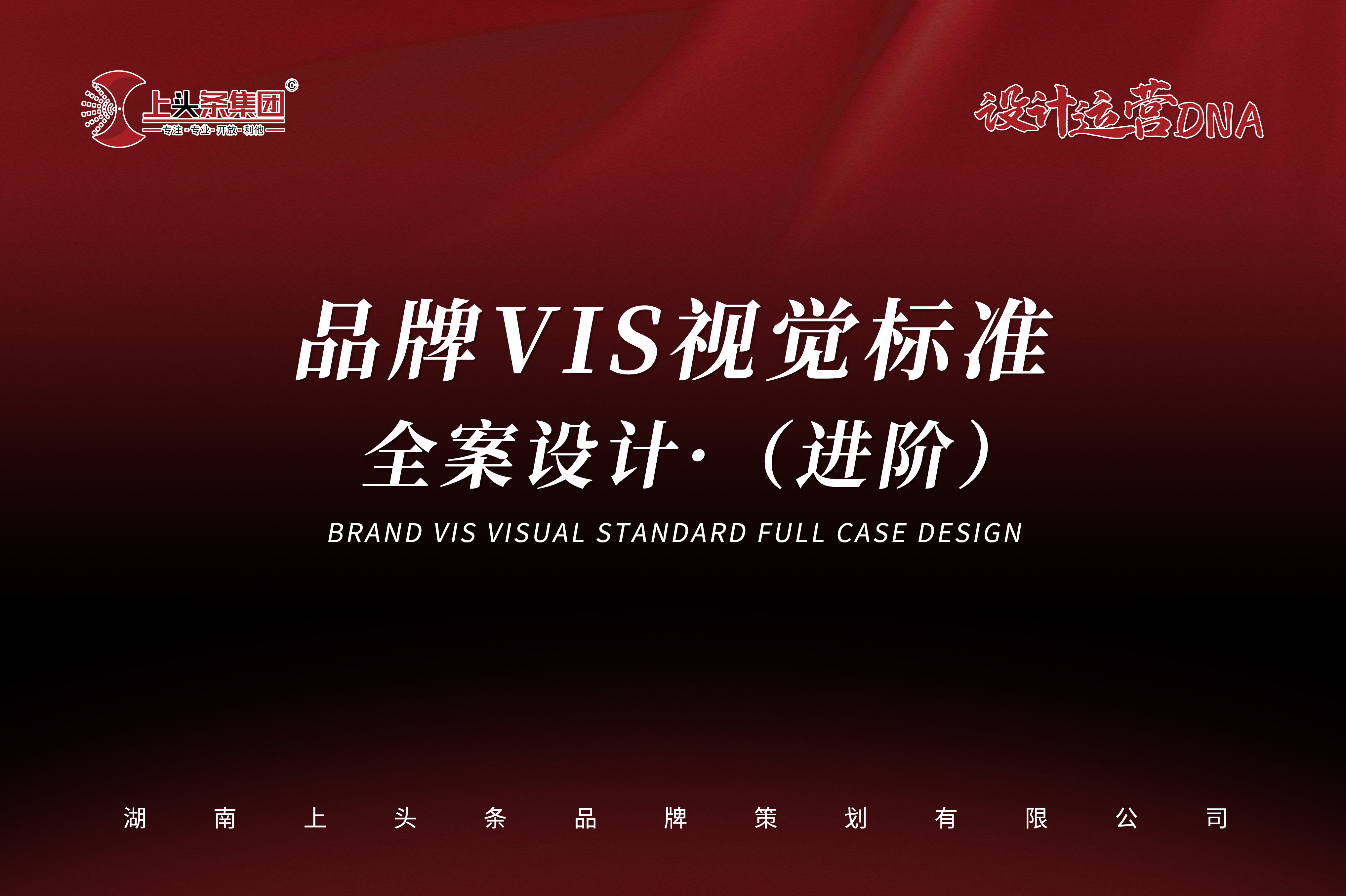 品牌VIS视觉标准