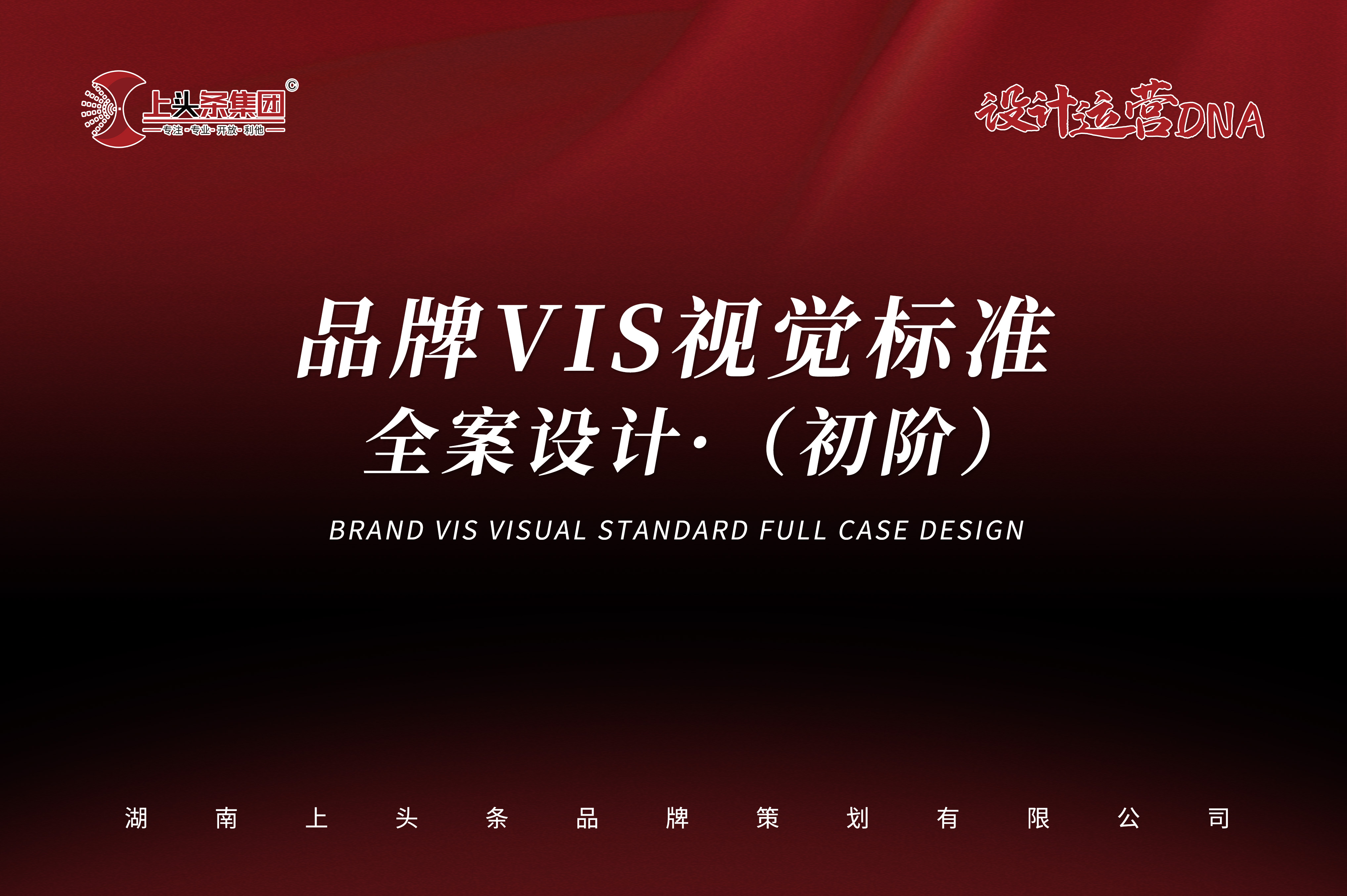 品牌VIS视觉标准