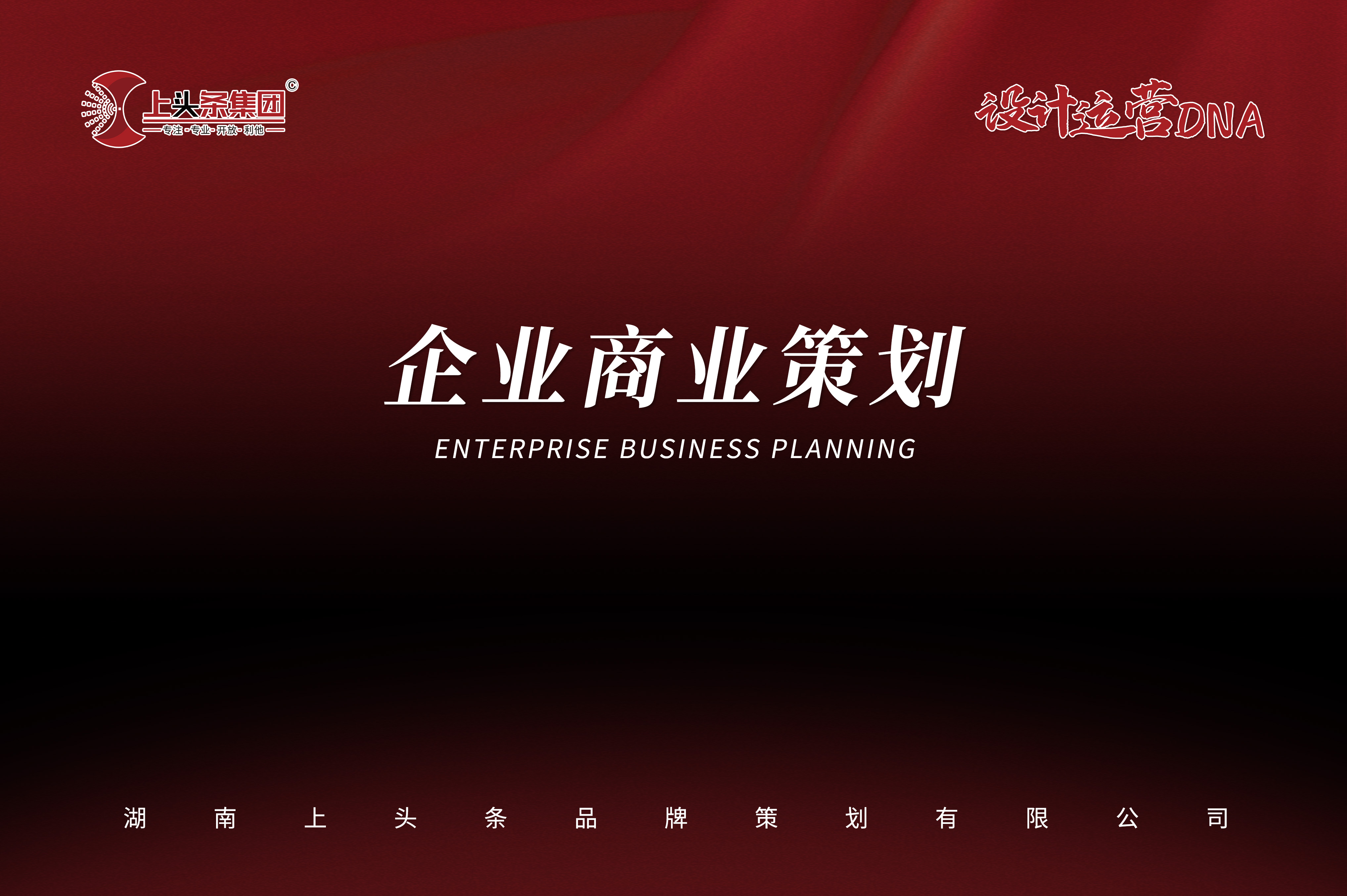 企业商业策划
